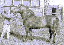 ZHEMAICHU